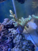 IMG_8302.jpeg