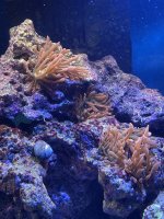 IMG_8307.jpeg