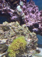 IMG_8306.jpeg
