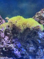 IMG_8305.jpeg
