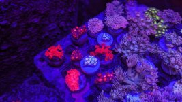 PXL_20230902_141859528.jpg
