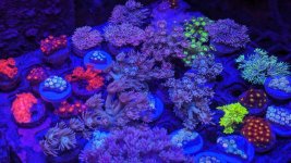 PXL_20230902_141919085.jpg