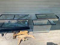 Aquariums.jpg