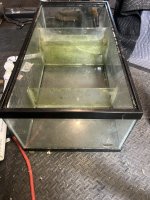 IMG_0687.jpeg
