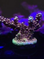 IMG_7757.jpeg