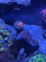 IMG_5800.jpeg