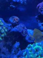 IMG_5798.jpeg