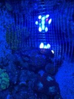 IMG_5799.jpeg
