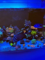 IMG_3726.jpeg