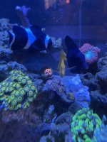 IMG_5840.jpeg