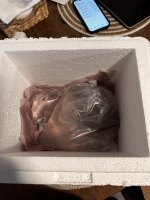 IMG_0674.jpeg