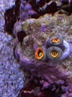 IMG_0679.jpeg