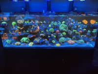 IMG_6292.jpeg
