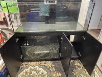 IMG_0334.jpeg