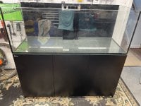IMG_0337.jpeg