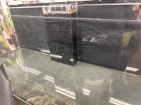 IMG_2036.jpeg