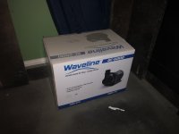 IMG_2971.jpeg