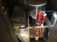 IMG_2973.jpeg