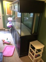 IMG_2970.jpeg