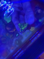 IMG_3879.jpeg