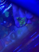 IMG_3880.jpeg