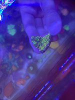 IMG_3881.jpeg