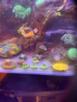IMG_3883.jpeg