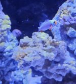 20231001_180107.jpg