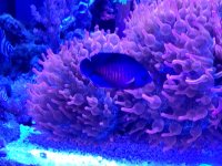 VideoCapture_20231005-204303.jpg