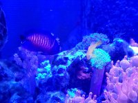 VideoCapture_20231005-204752.jpg