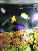 VideoCapture_20231006-135731.jpg