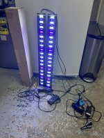 IMG_6018.jpeg
