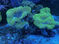 IMG_1479.jpeg