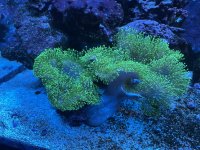 IMG_1480.jpeg