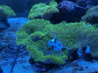 IMG_1481.jpeg
