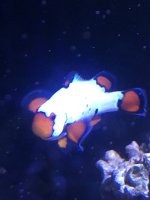 IMG_3301.jpeg