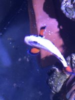 IMG_3305.jpeg