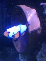 IMG_3312.jpeg
