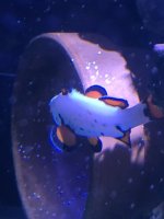IMG_3311.jpeg