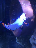 IMG_3314.jpeg