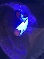 IMG_3294.jpeg