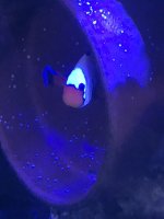 IMG_3292.jpeg