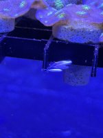 IMG_6032.jpeg