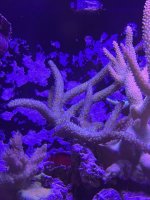 IMG_1064.jpg
