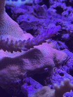 IMG_1063.jpg