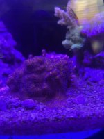 IMG_1075.jpg