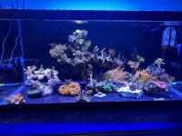 IMG_6071.jpeg