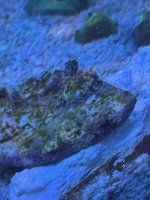IMG_3790 (1).jpg
