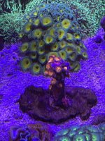 IMG_4359.jpeg