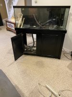 IMG_2409.jpeg